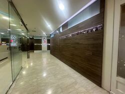 Singapore Shopping Centre (D9), Retail #563954451